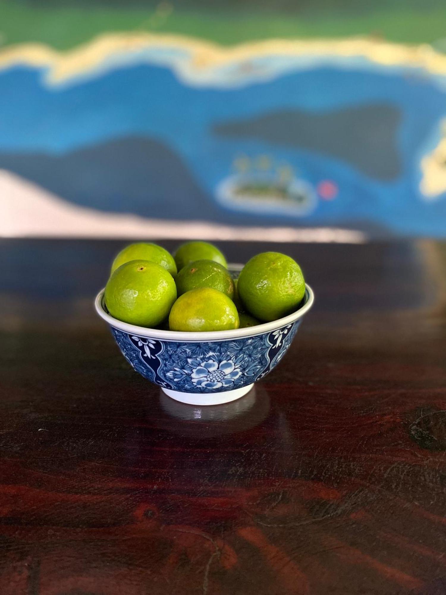 Drakes BayCasita Corcovado别墅 外观 照片