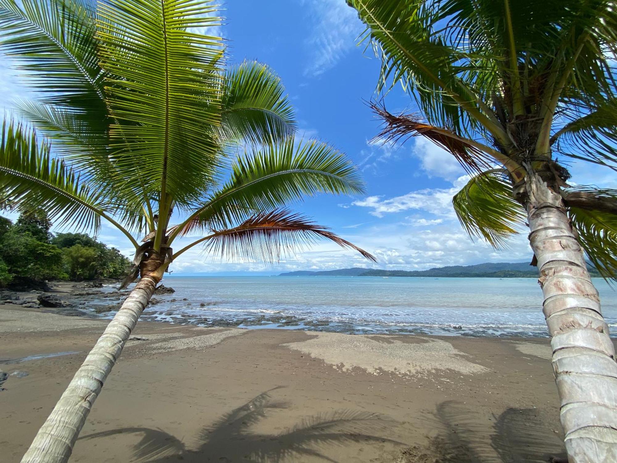 Drakes BayCasita Corcovado别墅 外观 照片