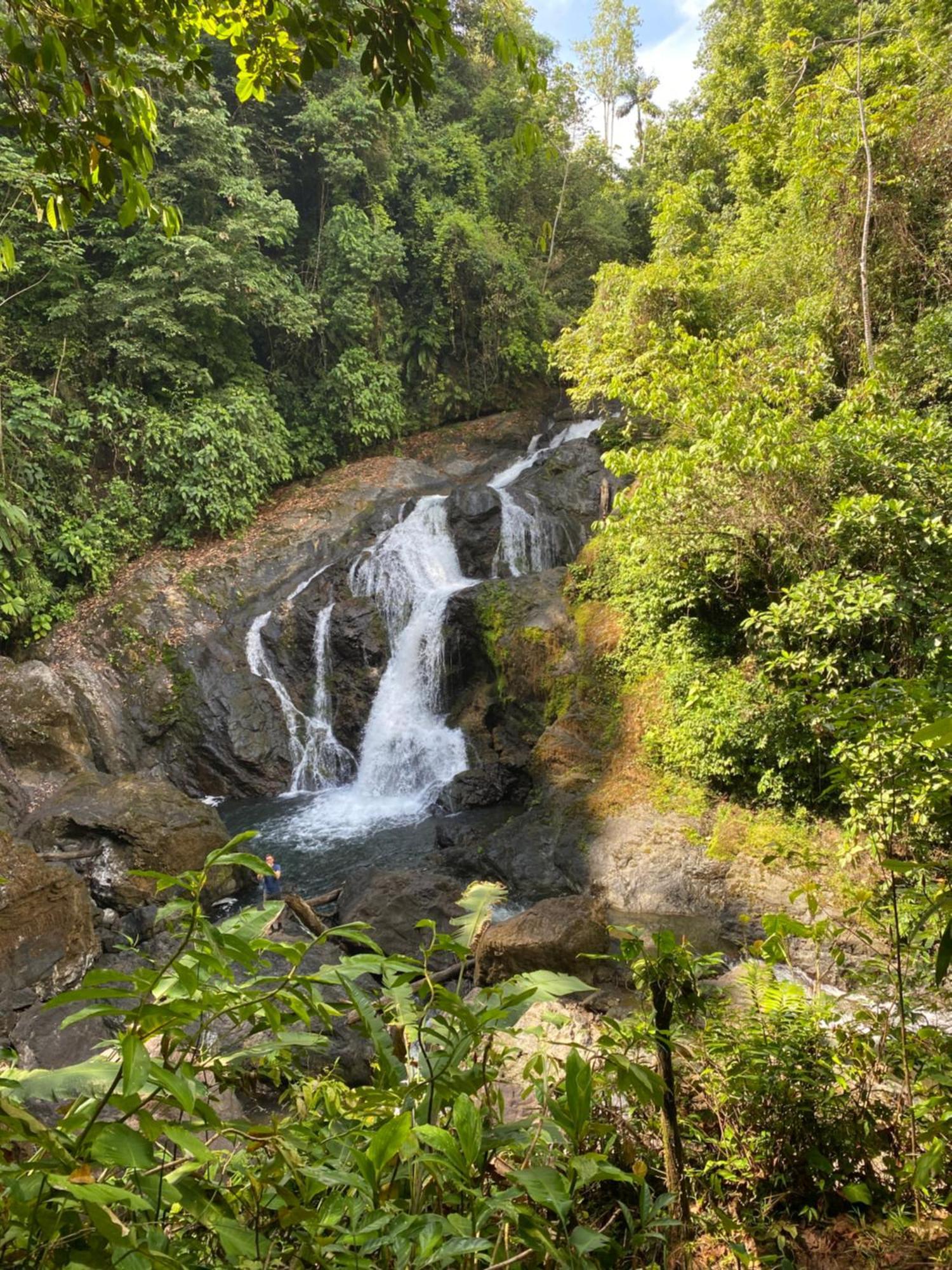 Drakes BayCasita Corcovado别墅 外观 照片